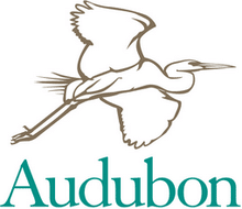 Audubon: A View With a Room