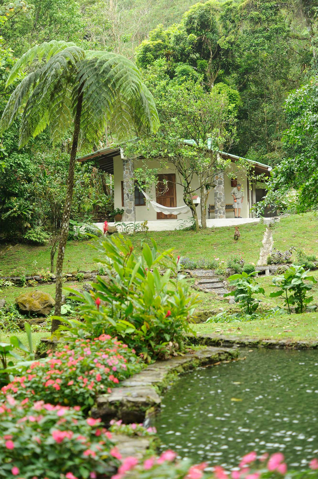 Canopy Lodge | The Canopy Family | Birdwatching in Panama