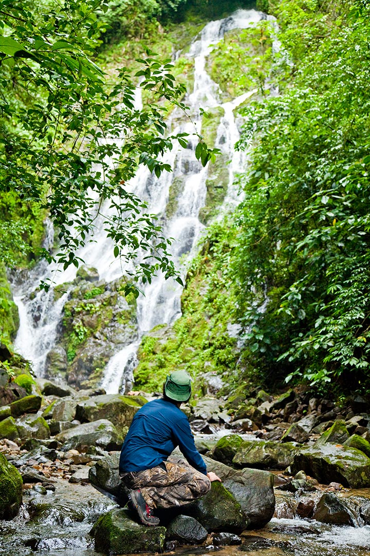 Chorro El Macho Waterfall near Canopy Lodge