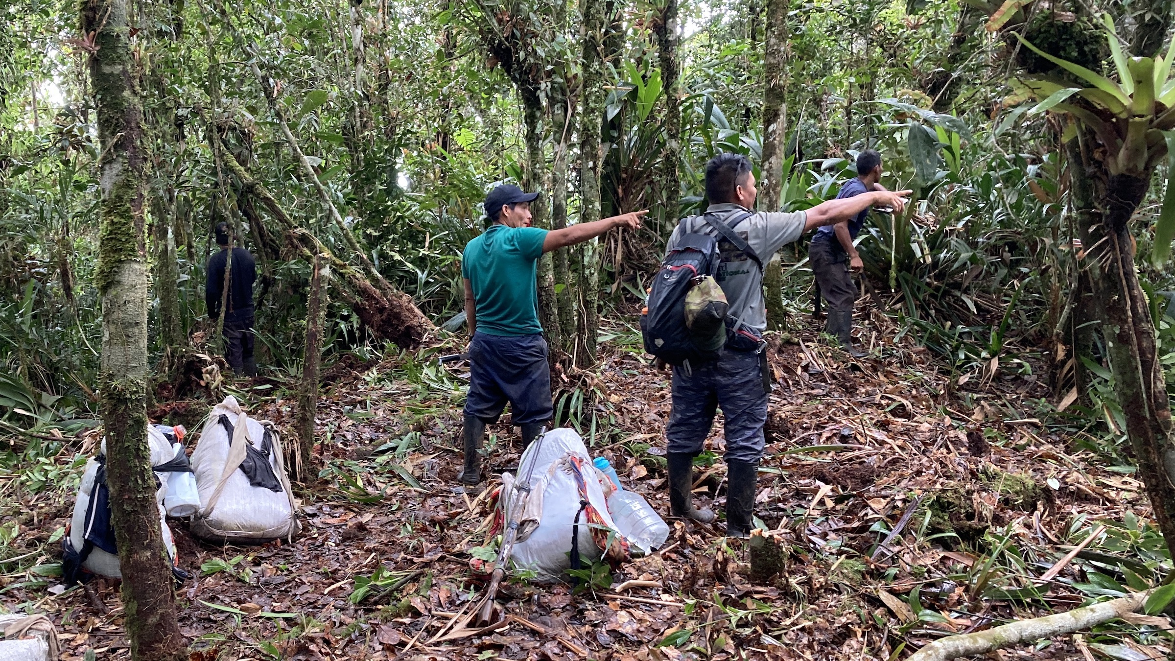 Birding Cerro Tacarcuna | The Canopy Family