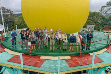 Drone image Canopy Tower with guests close up