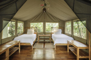 One of our amazing Canopy Camp tents