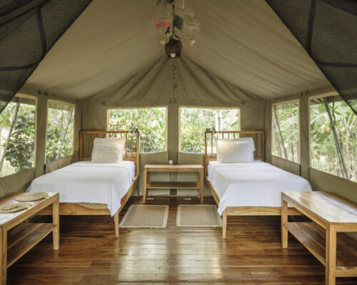 Canopy Camp tent