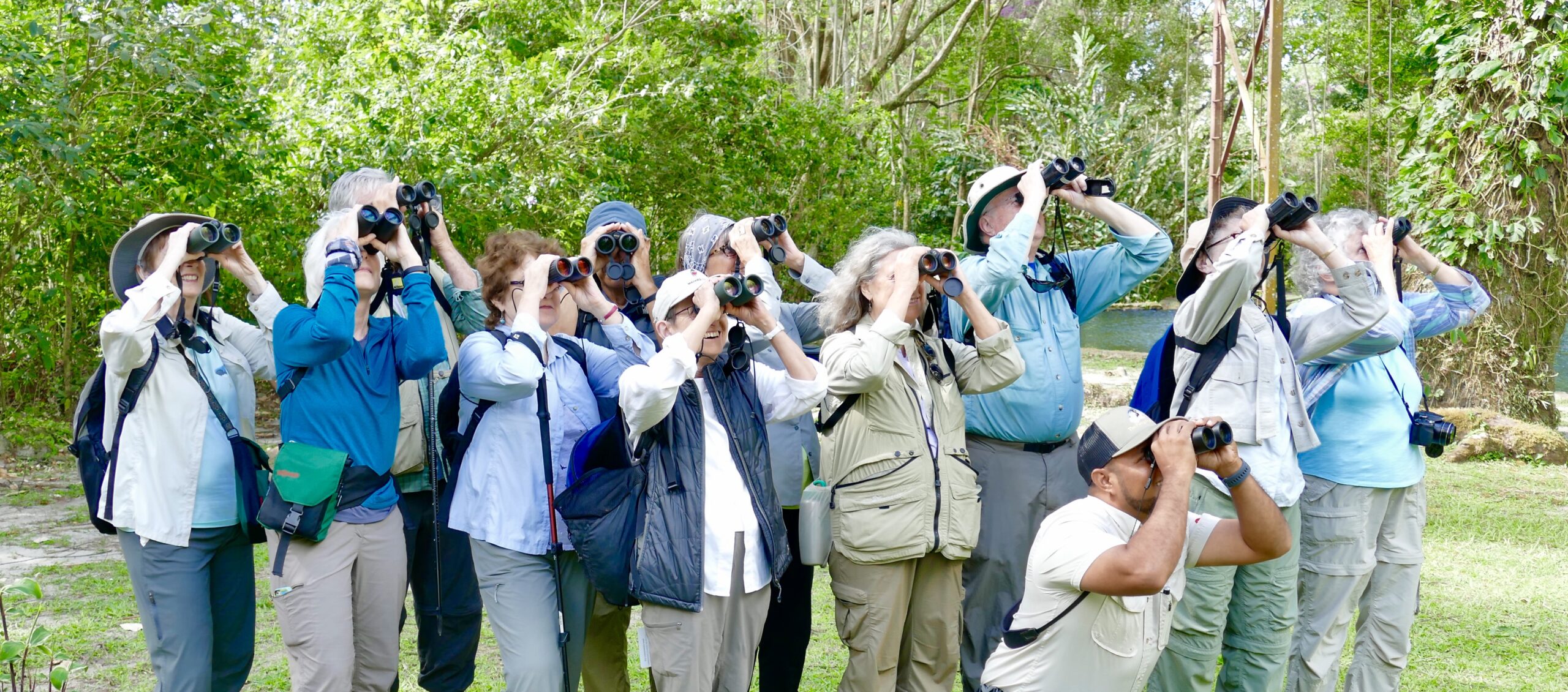 Birders