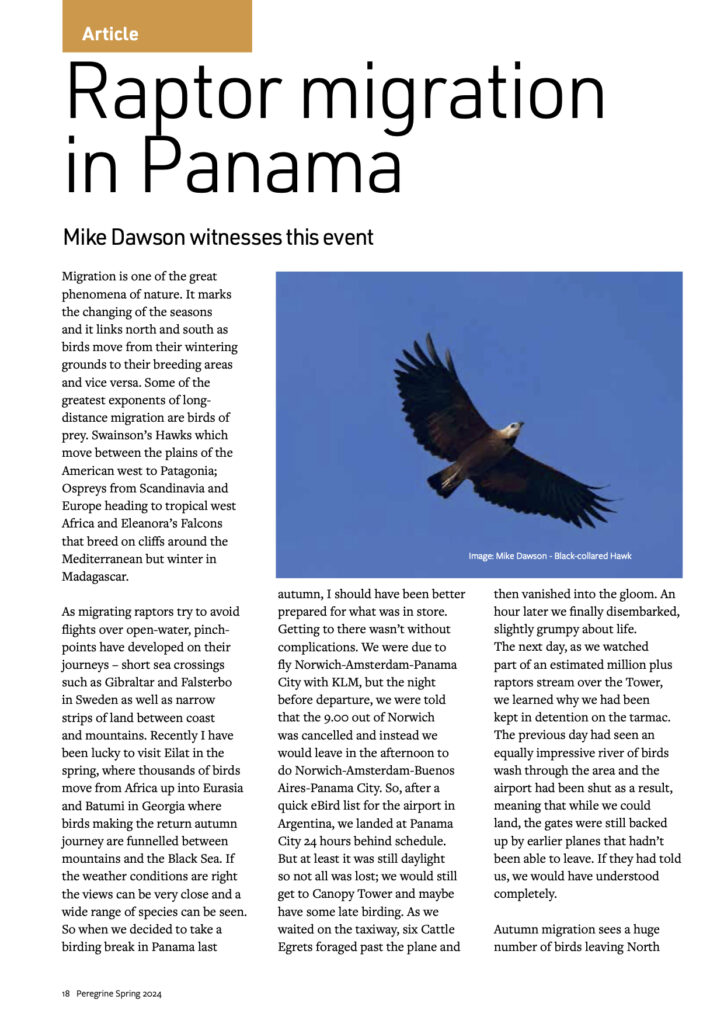 Raptor Migration in Panama featured in the magazine Peregrine